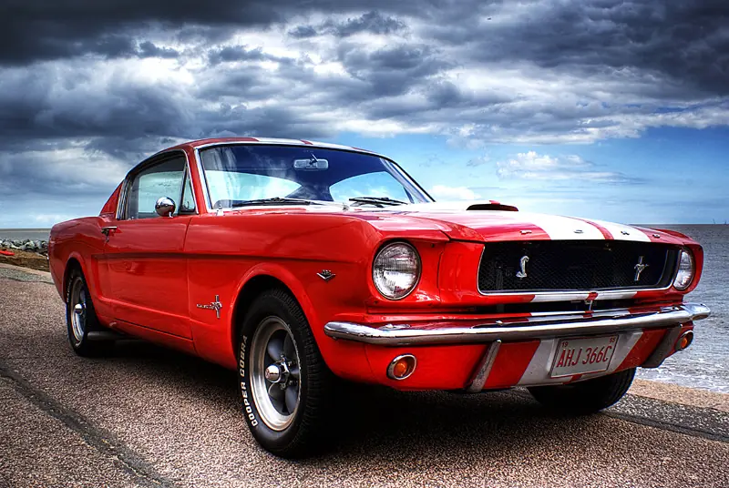 Muscle Cars