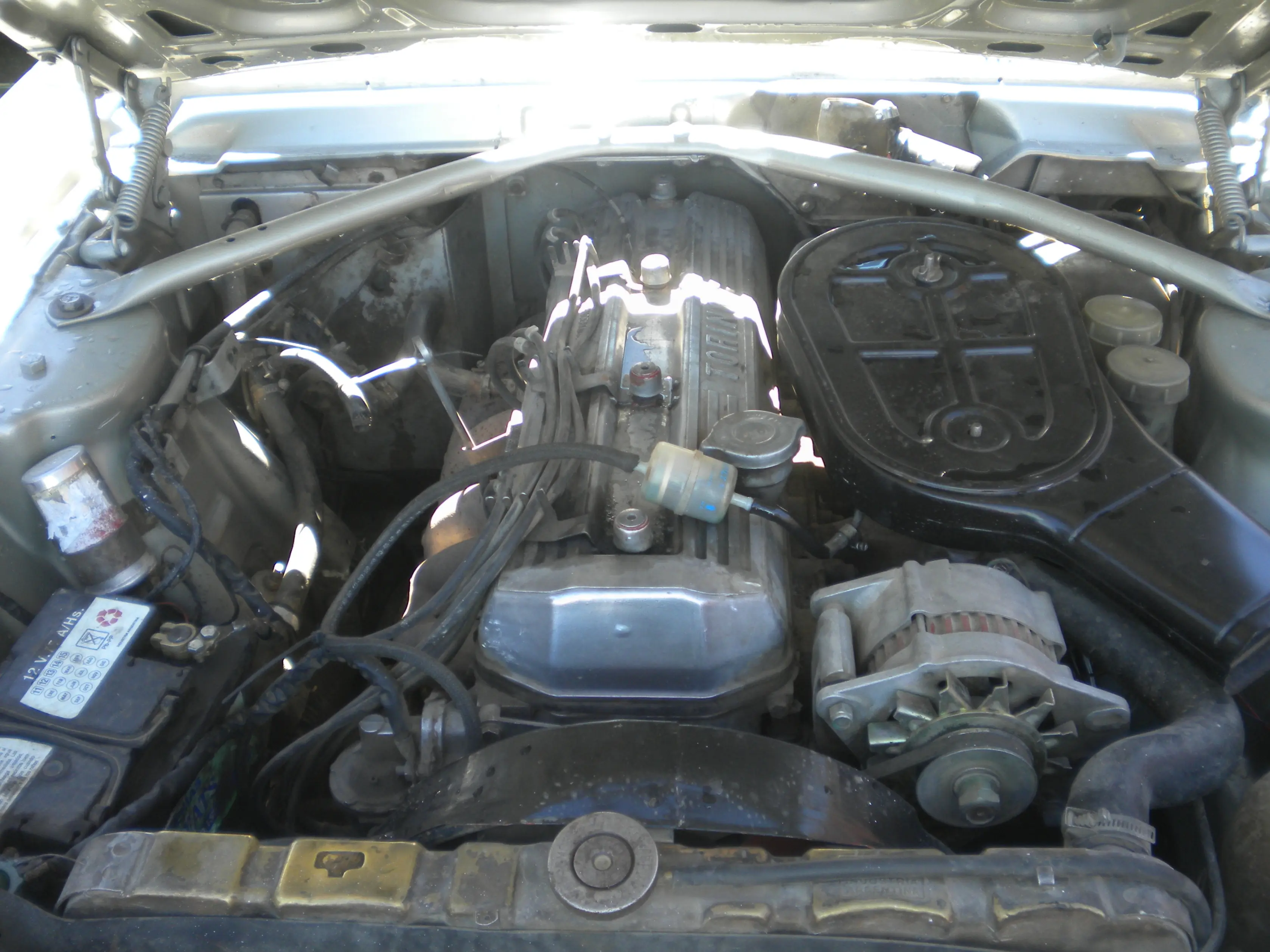 auto argentino