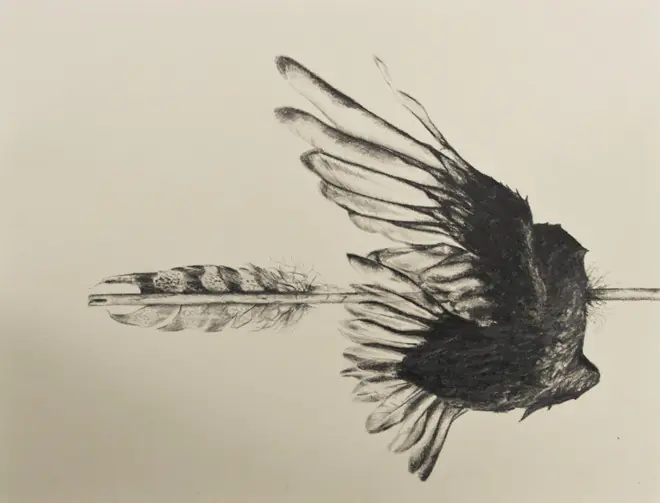 simbiosis