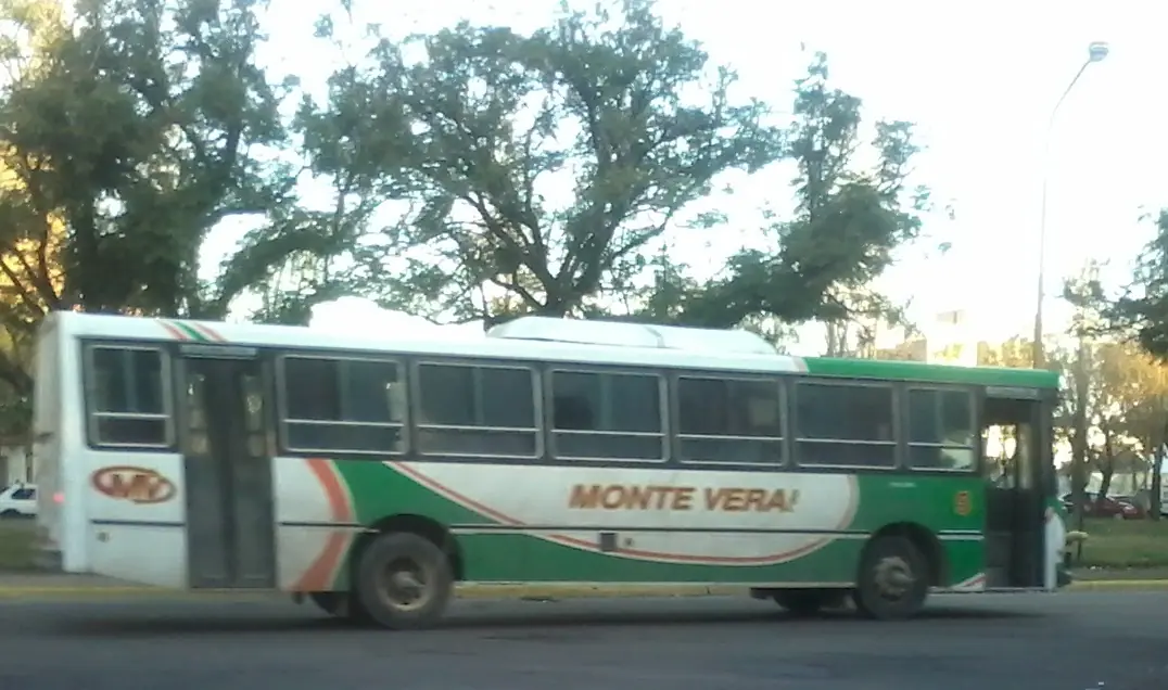 buses
