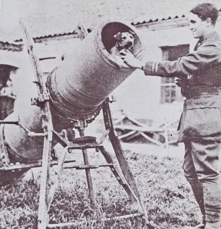 armas