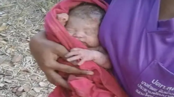 bebe