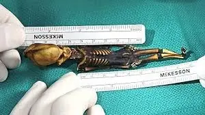 Ata Extraterrestre de atacama real