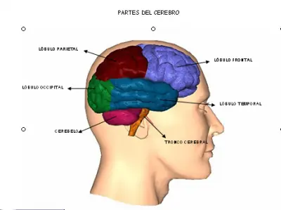 ciencia ciencia