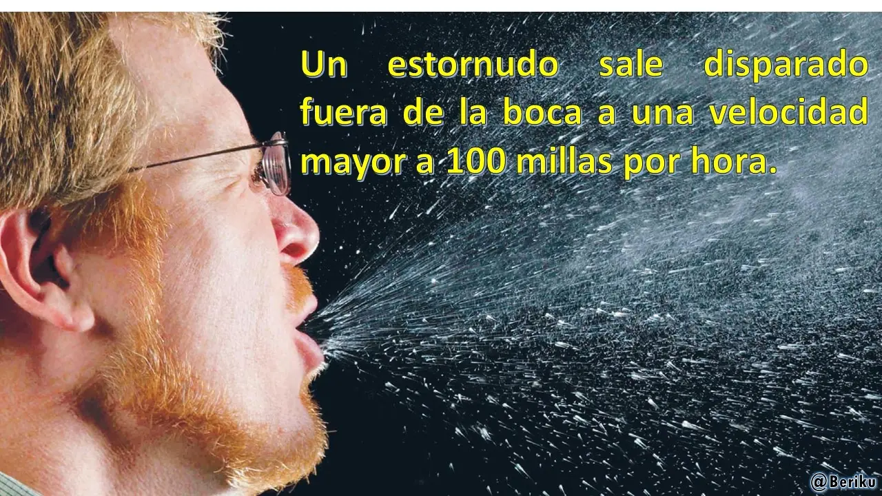 Mundo