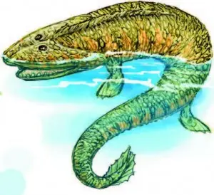 Evolucionista