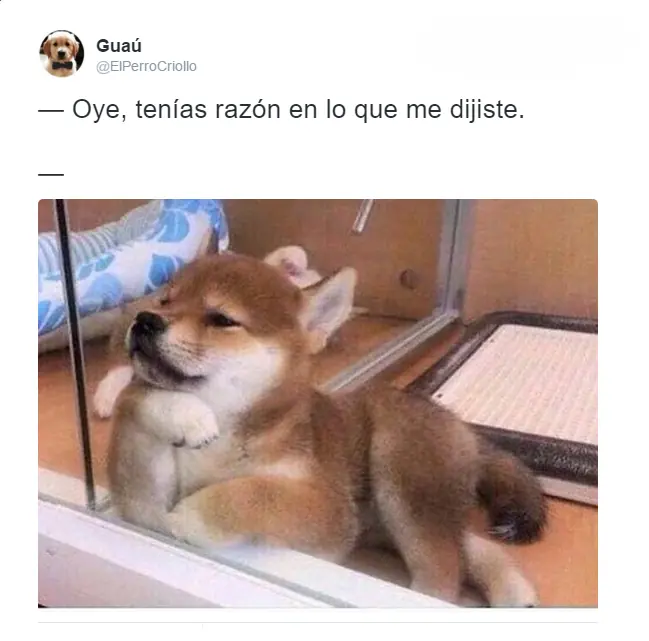 parte10