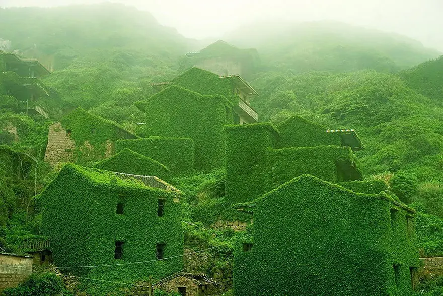 naturaleza salvaje naturaleza salvaje
