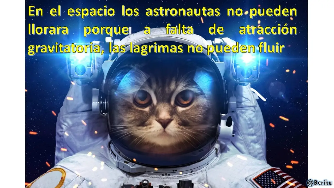 ciencia