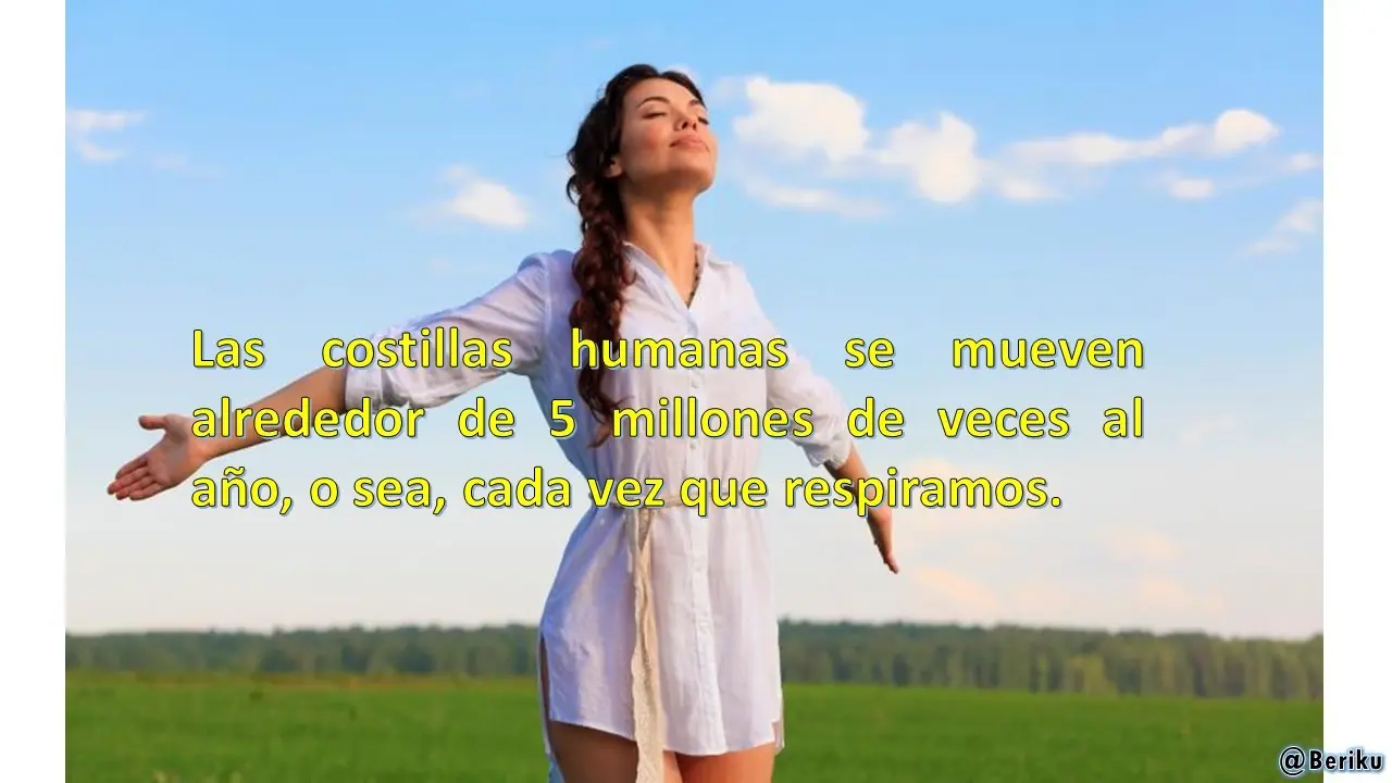 datos