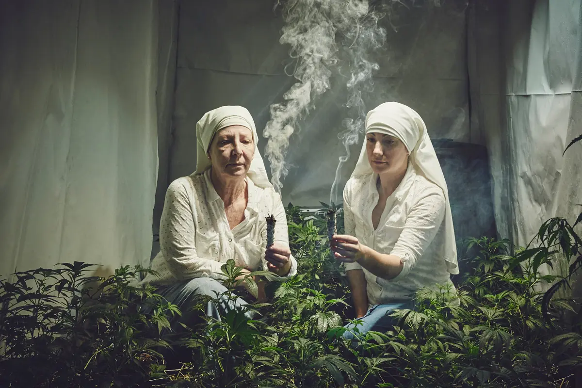 marihuana marihuana