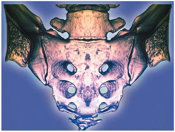 Diez partes inservibles del cuerpo humano!