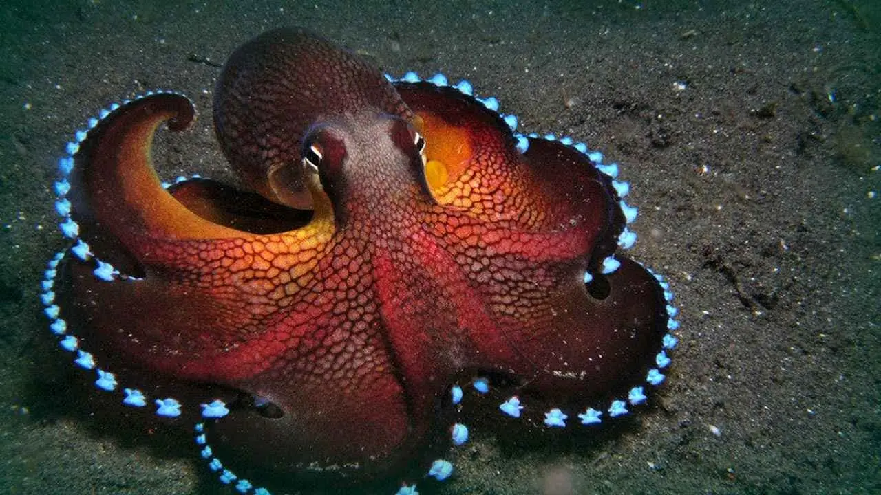 biologia biologia