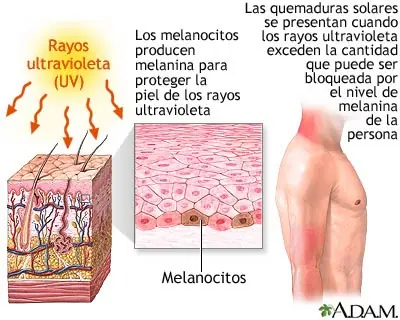 constelaciones