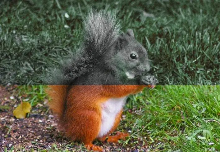 naturaleza naturaleza