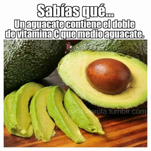 absurdo