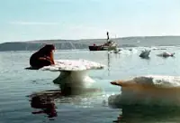 el mundo abajo