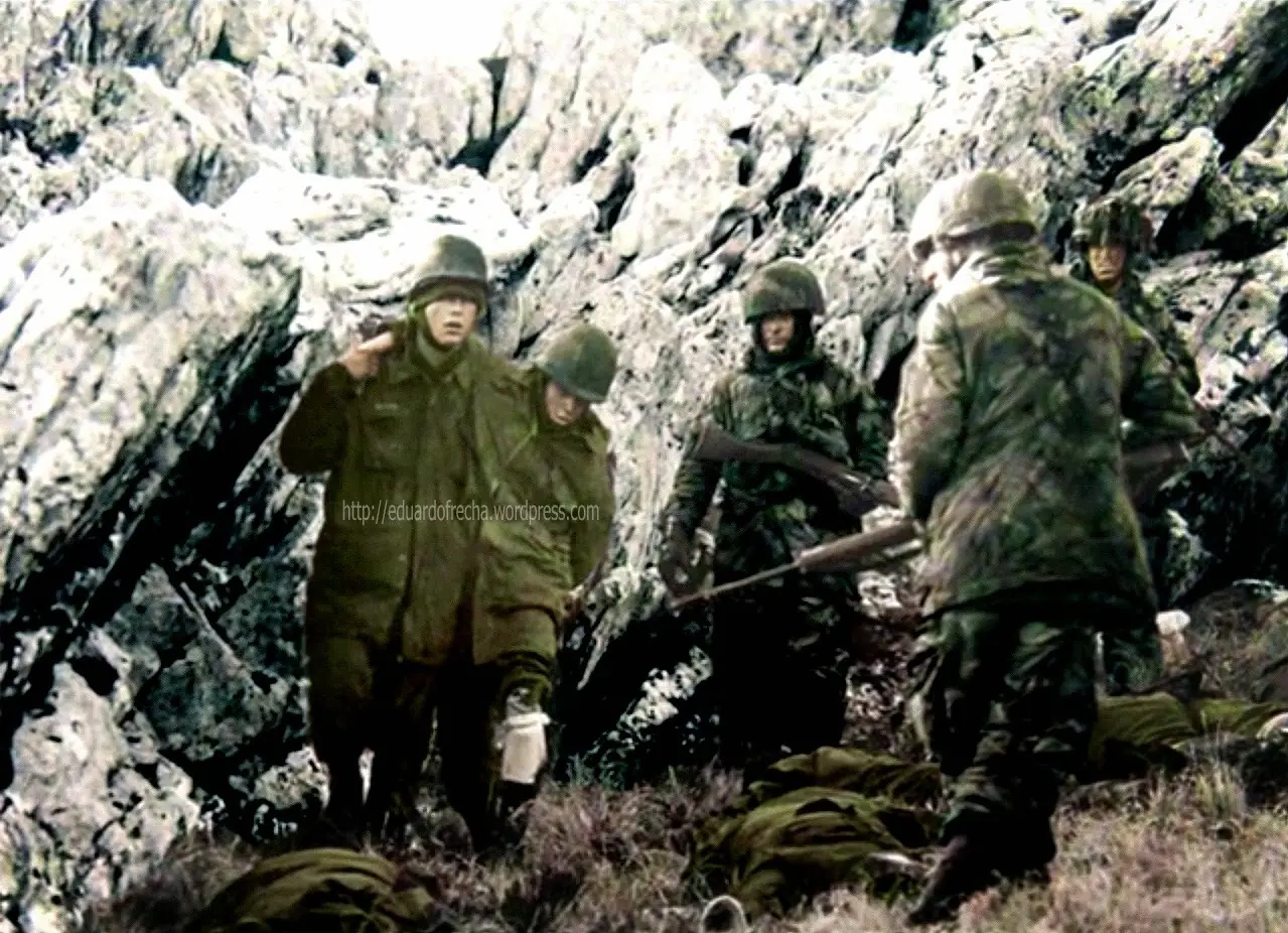 veteranos de malvinas