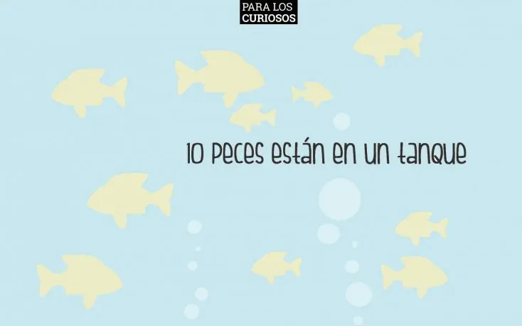 acertijo