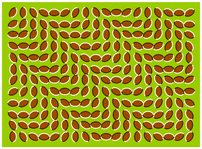 bridget riley bridget riley