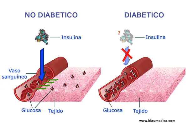 medicina