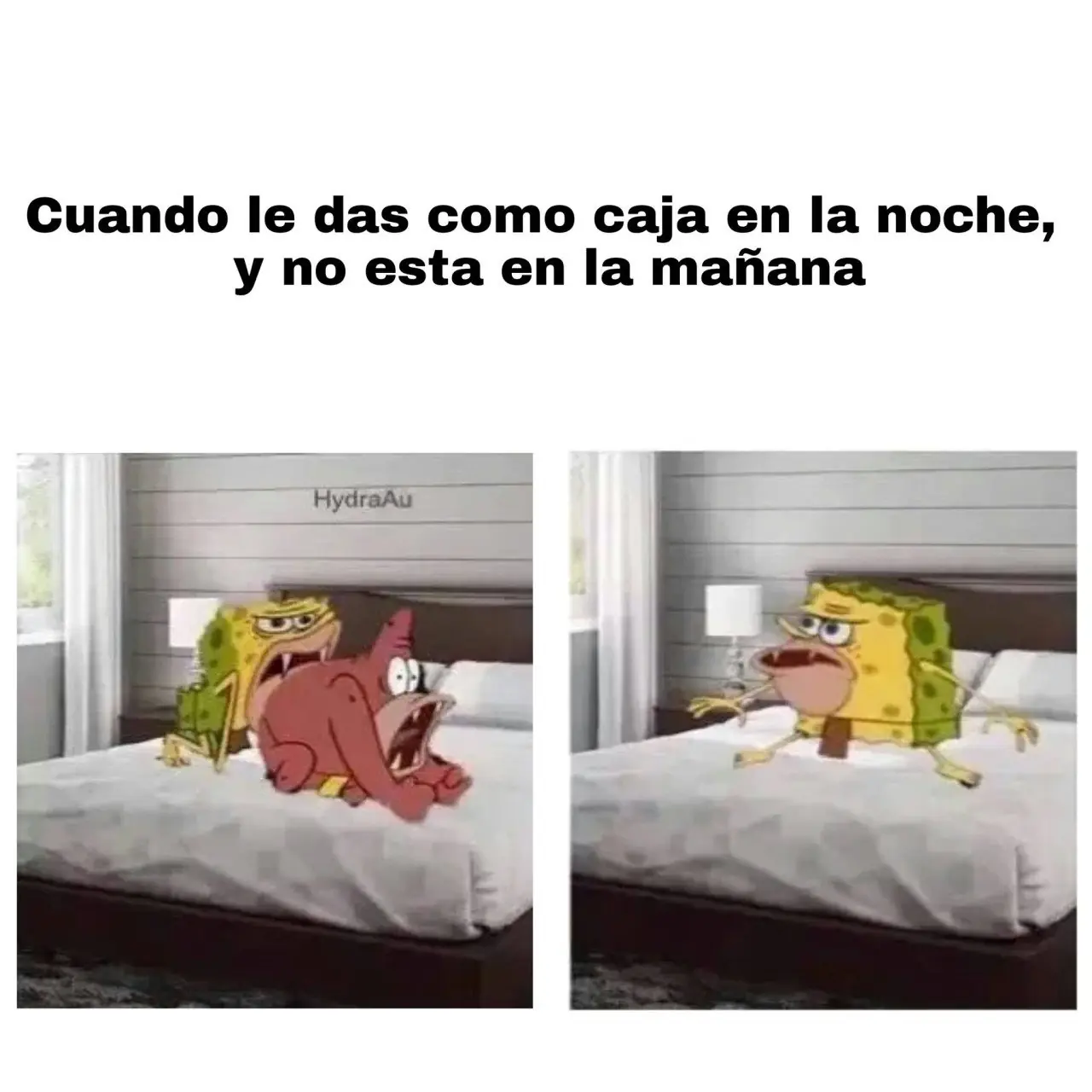taringa