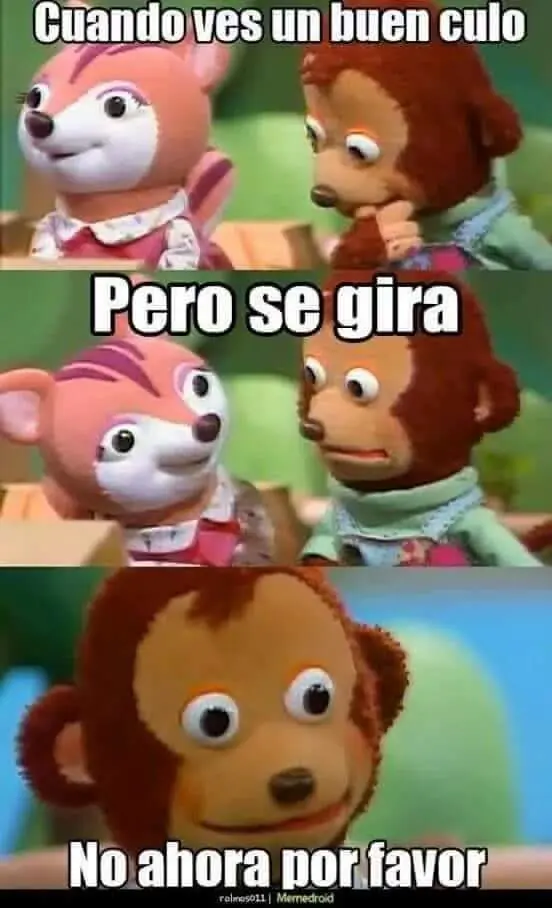 memes memes