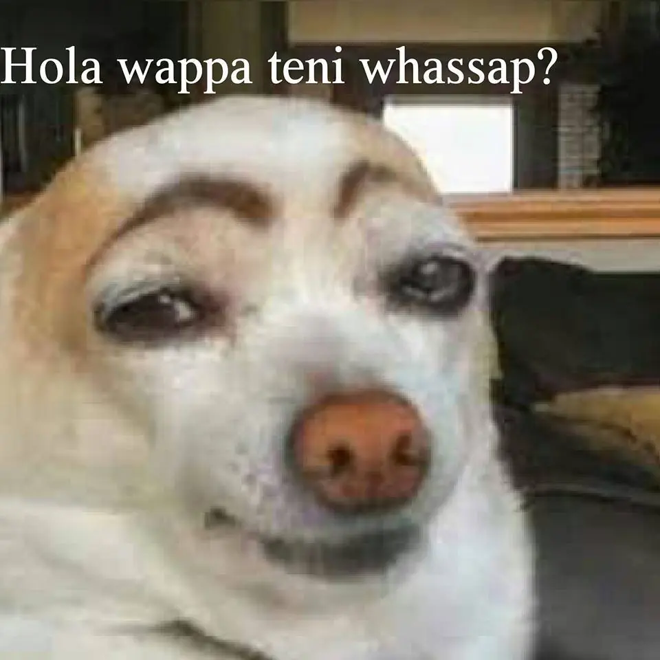 Odias a los chilenos? Te muestro su lado copado (en el Lol) Odias a los chilenos? Te muestro su lado copado (en el Lol)