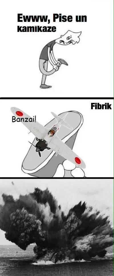 beluco