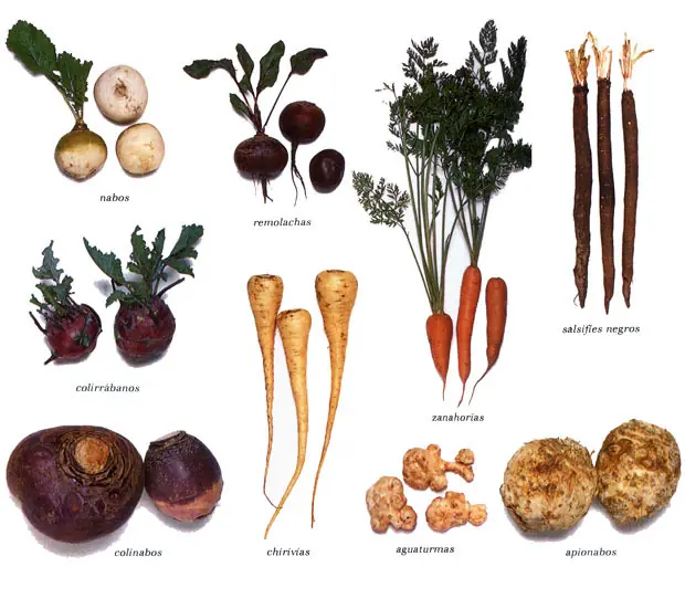 calendario lunar de siembra