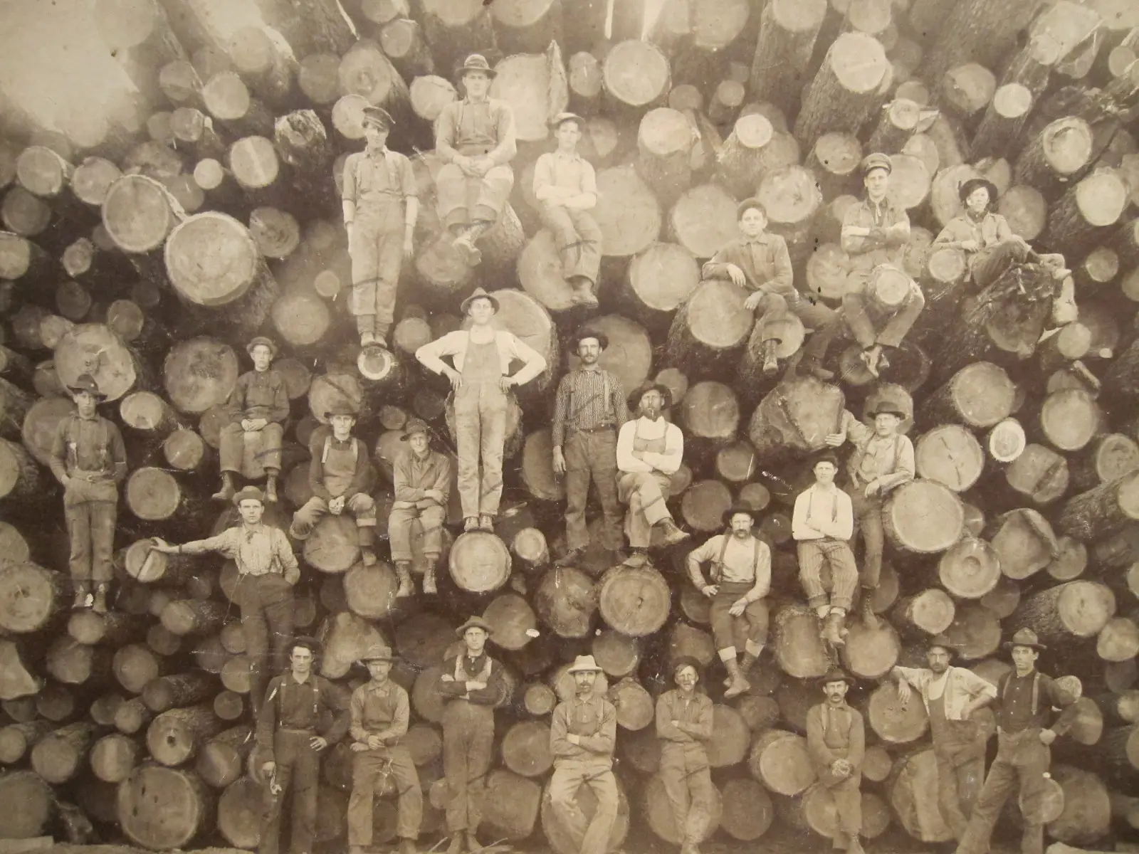 Leñadores talando un increíble árbol gigante