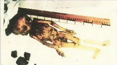 de