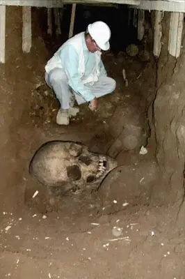 la señal