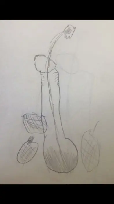 pensados
