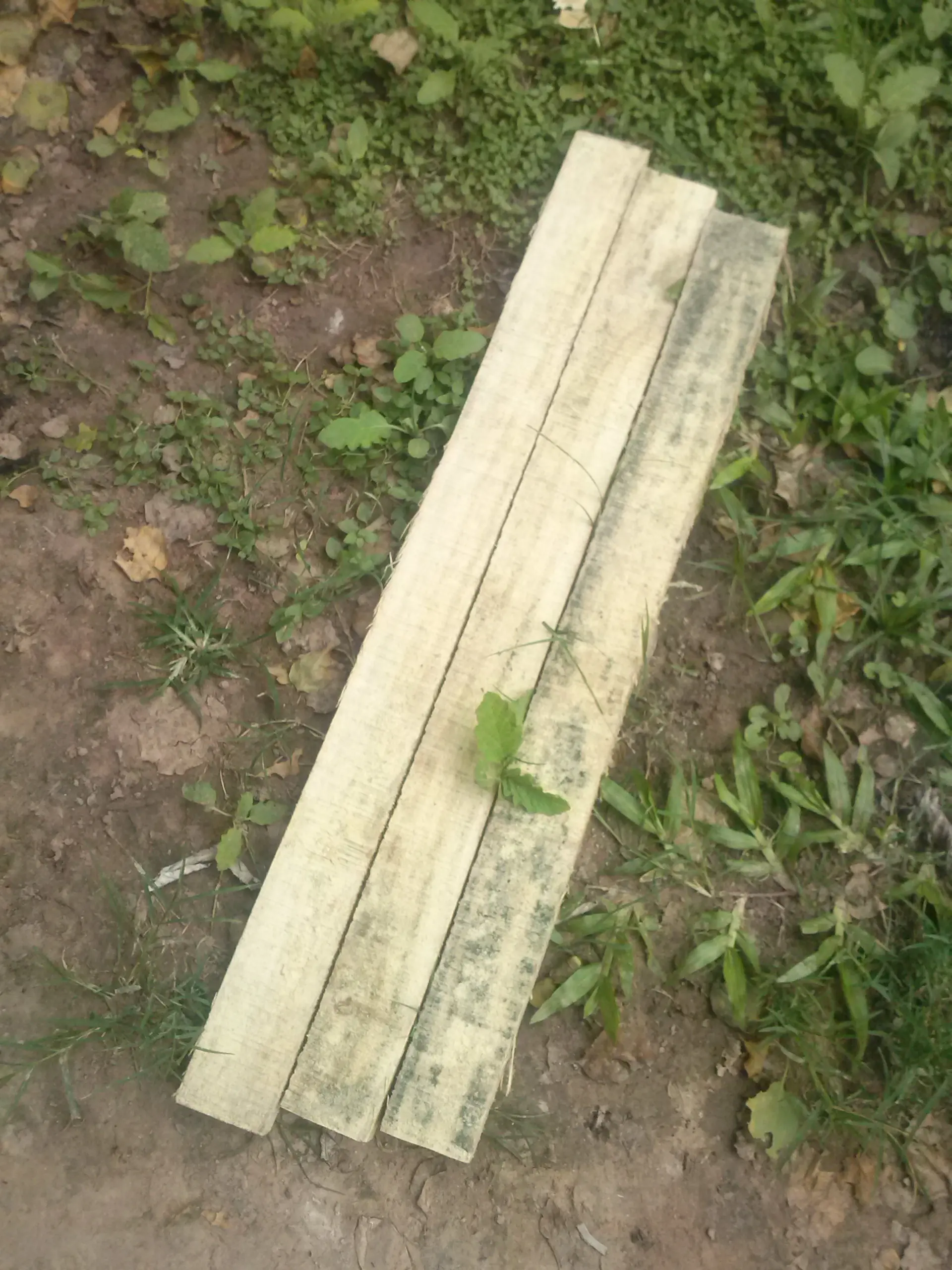 Hice Una Escalera Salta Muro