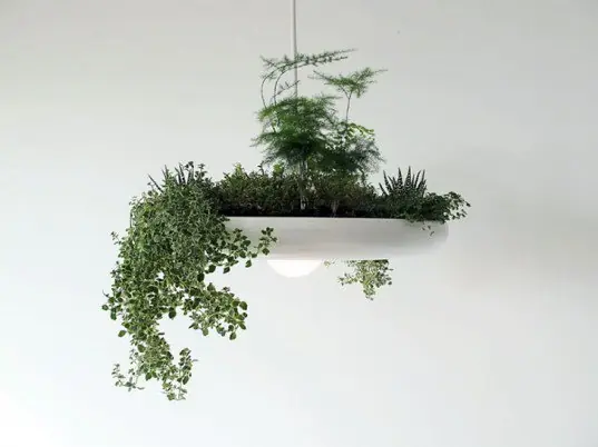 diseno contemporaneo