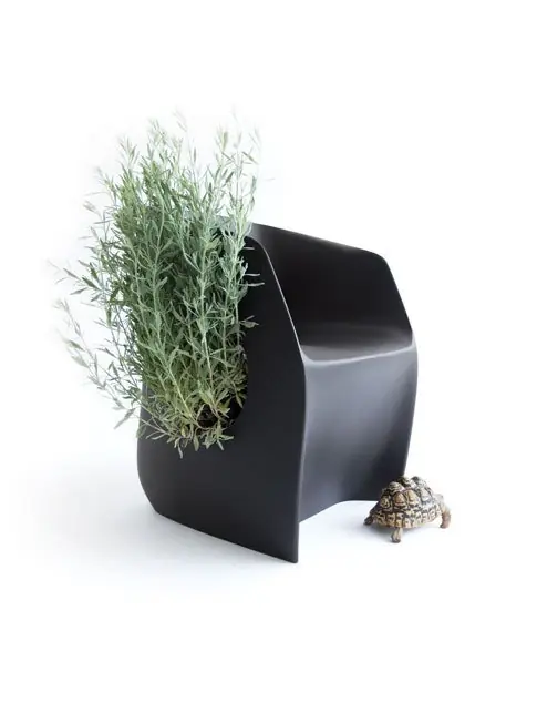design