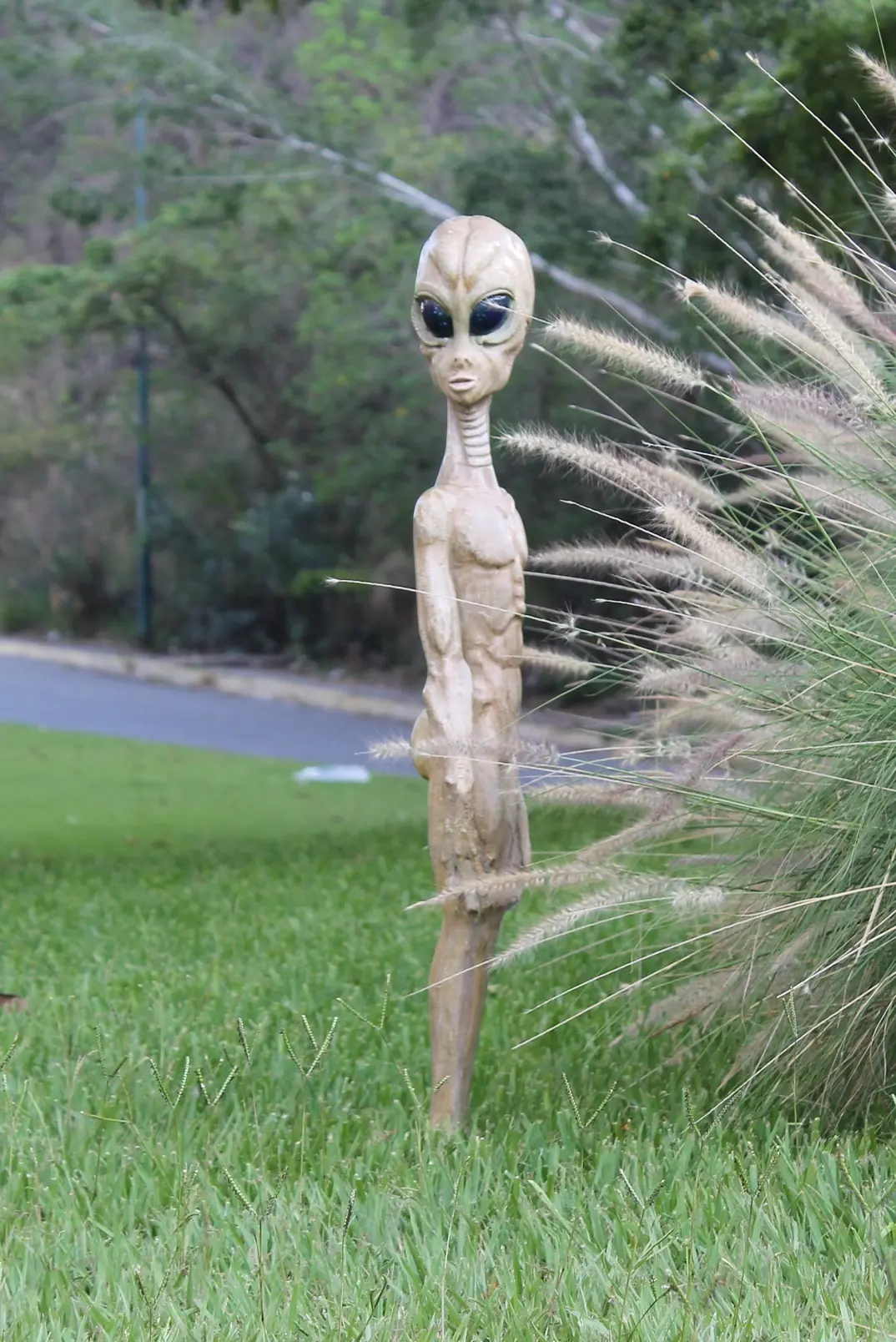 Alienígena encontrado en la madera
