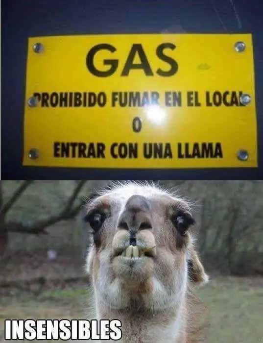 Humor negro