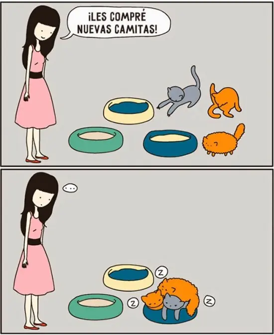 Imágenes de humor y más para los linces 2