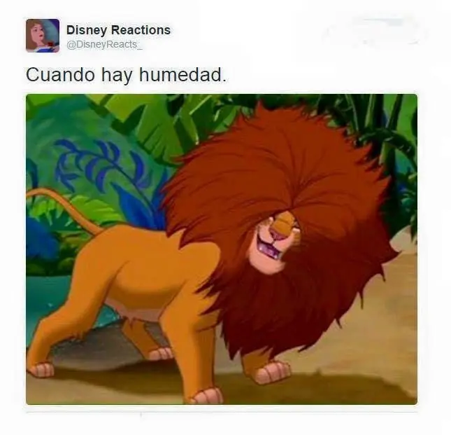 linces