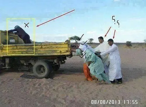 humor grafico