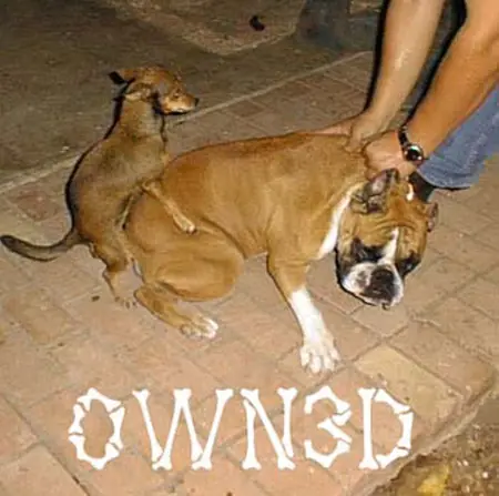 Owneds