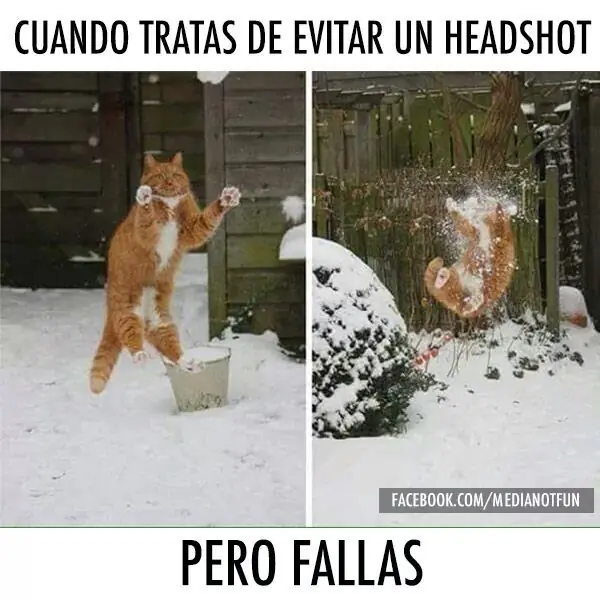 comics cortos graciosos