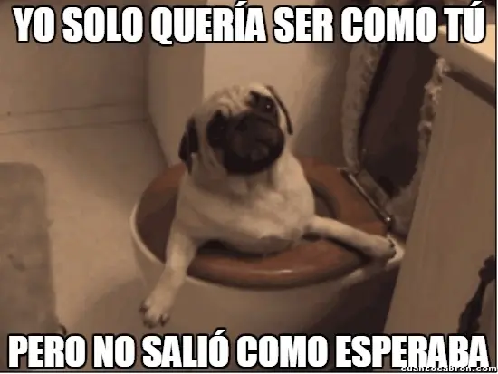 memes