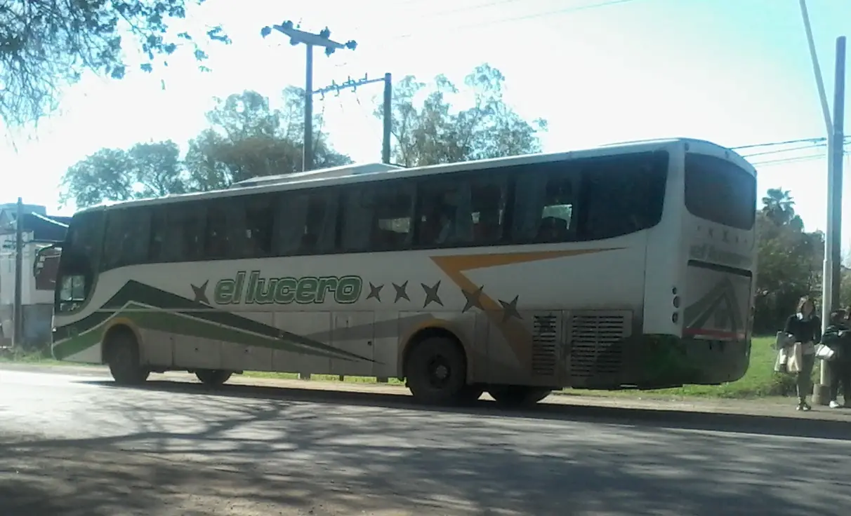 saldivia