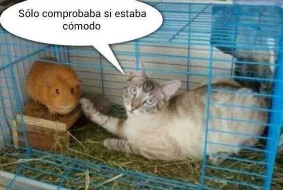 imagenes