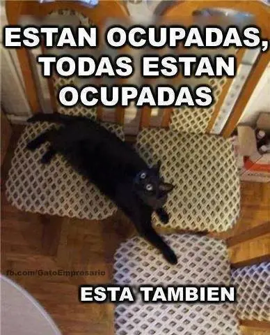 memes