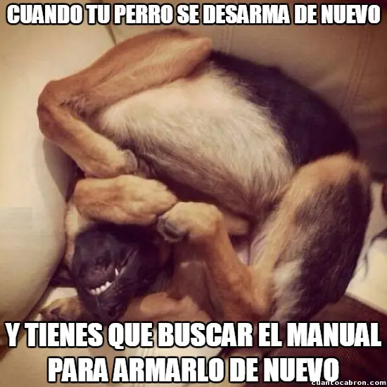 fotos