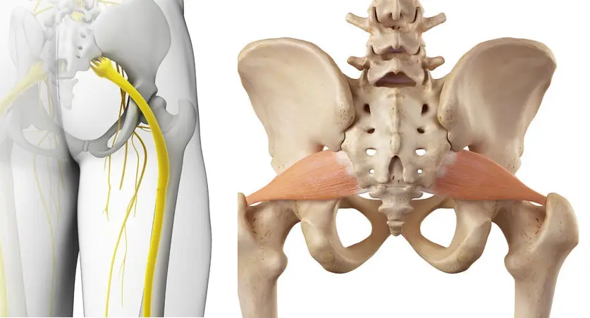 partes del cuerpo